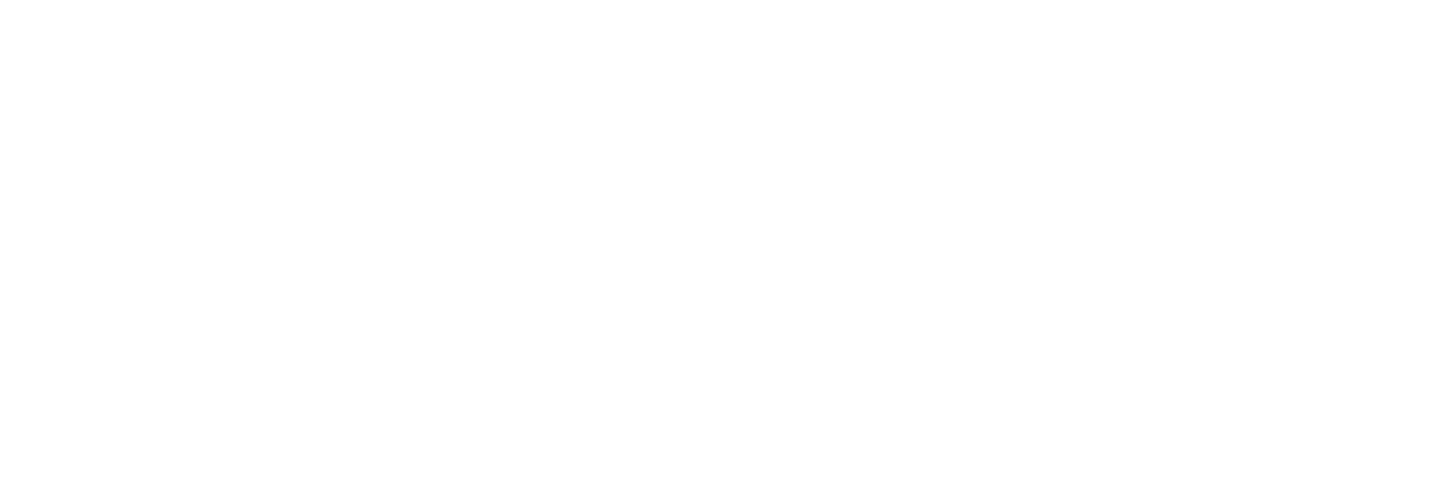 DWTC Logo
